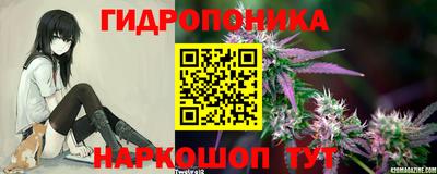 mdpv Кимры