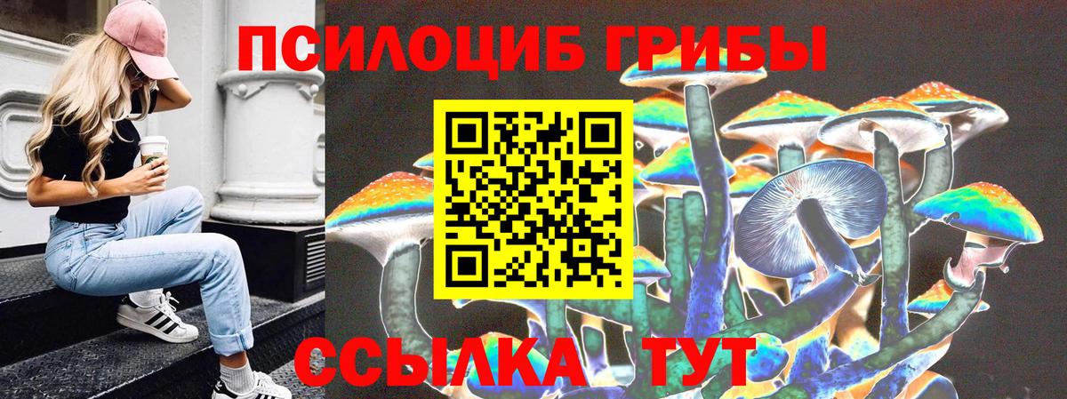 Псилоцибиновые грибы MAGIC MUSHROOMS  наркошоп  Вход с VPN  Кувандык  Галлюциногенные грибы GOLDEN TEACHER 
