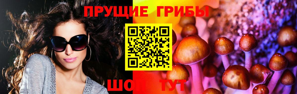 Галлюциногенные грибы MAGIC MUSHROOMS Кувандык